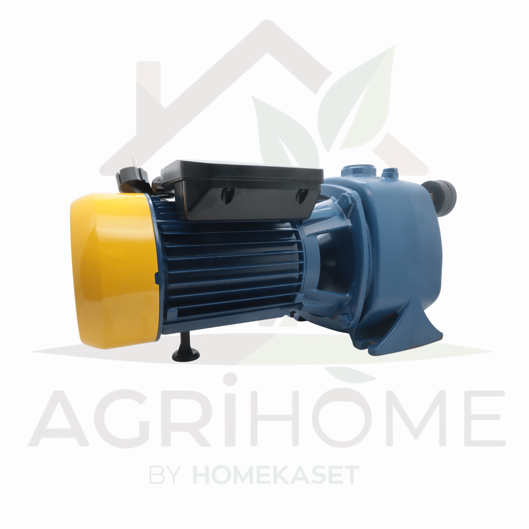 ปั๊มเจ็ทคู่ PAYOO พายุ 1 นิ้ว 2.2 แรงม้า