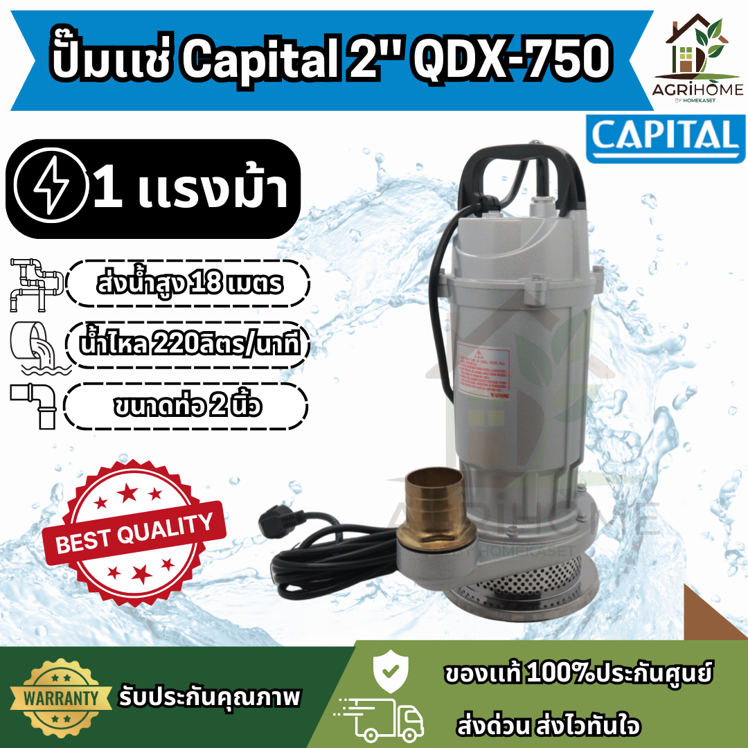 ปั๊มแช่ Capital 2 นิ้ว