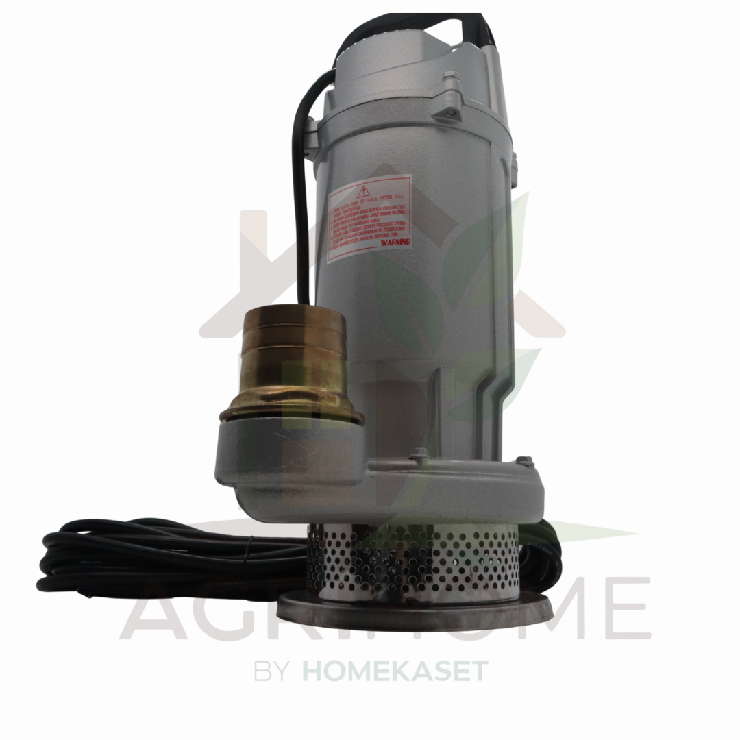 ปั๊มแช่ Capital 2 นิ้ว