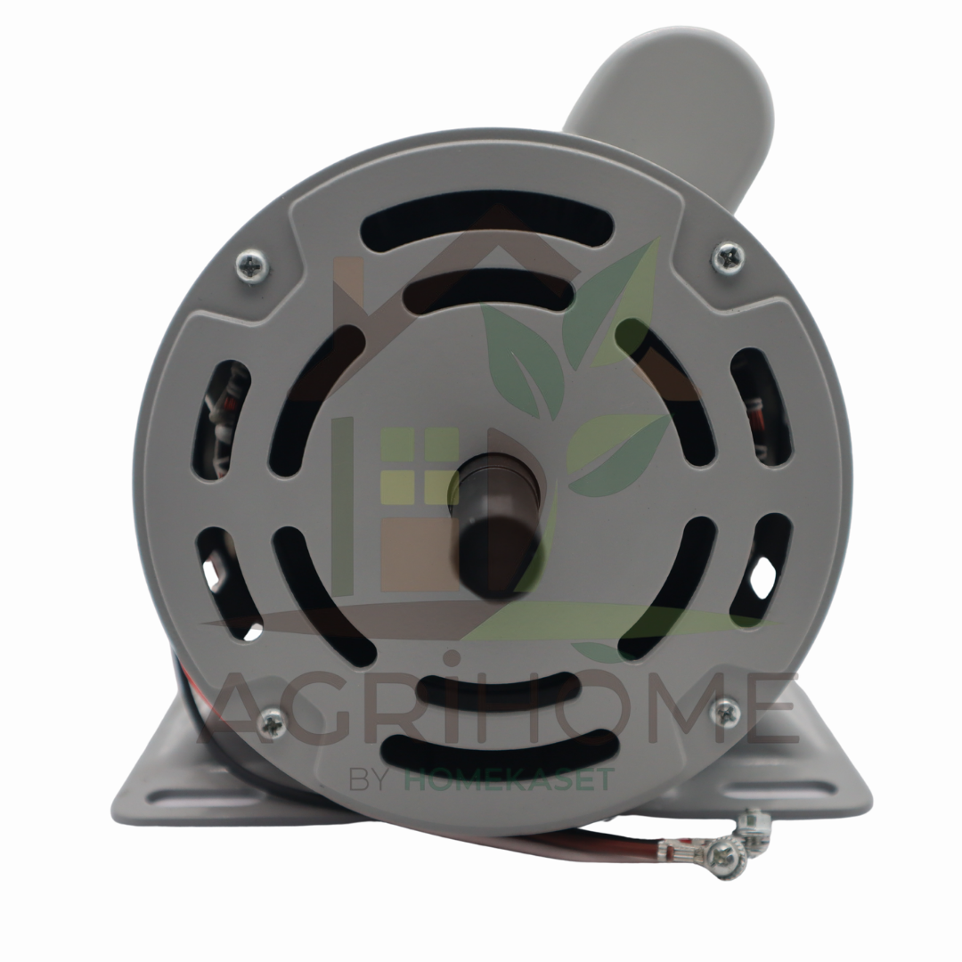 มอเตอร์ Radison เรดิสัน 1/2HP มีคอนเดนเซอร์