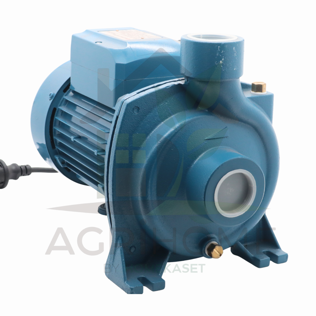 ปั๊มหอยโข่ง Mitsuflow 1.5 นิ้ว 1.5 แรงม้า