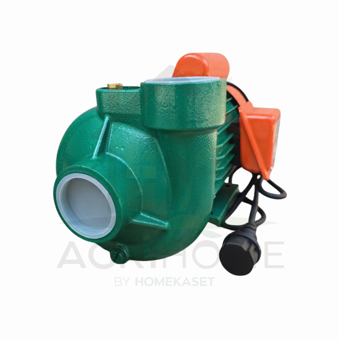 ปั๊มหอยโข่ง King Power 2 นิ้ว 2 แรงม้า