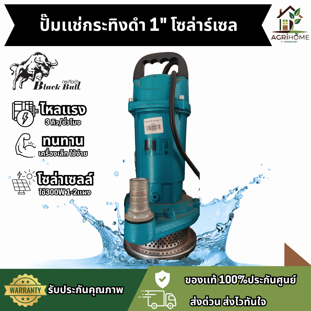 ปั๊มแช่กระทิงดำ 1 นิ้ว โซล่าเซลล์