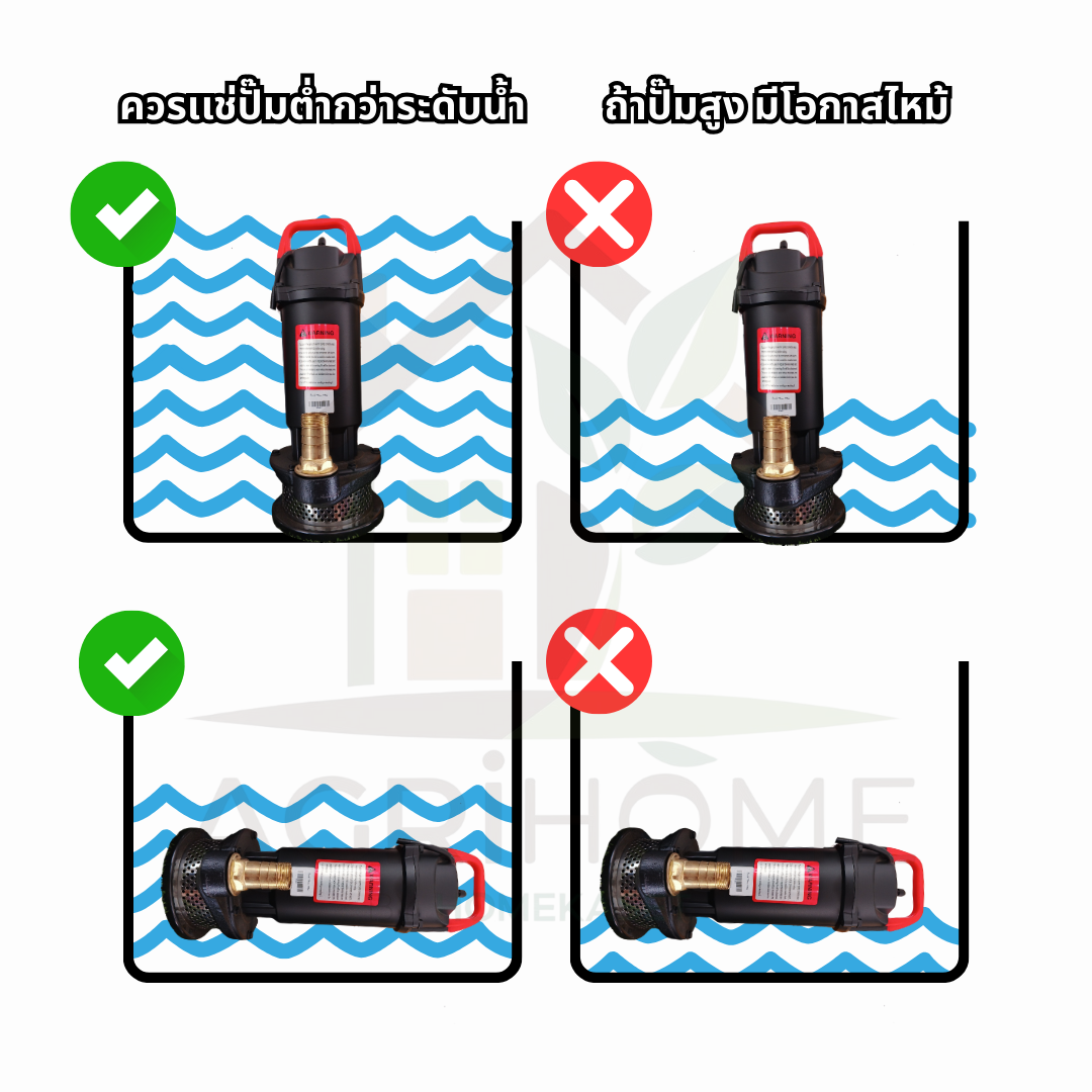 ปั๊มแช่ Nora โนราห์ 1 นิ้ว