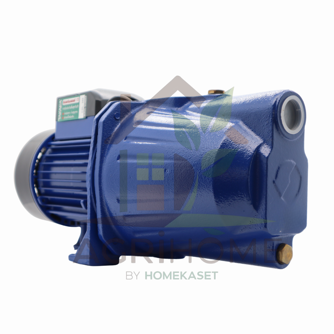 ปั๊มเจ็ทเดี่ยว ผึ้งเพชร 1 นิ้ว 1 แรงม้า