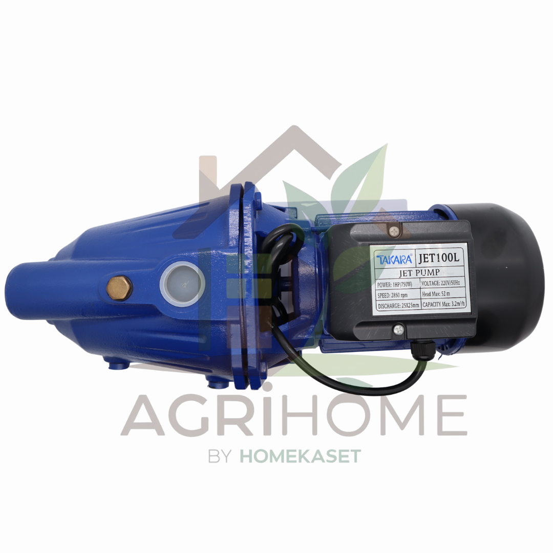 ปั๊มเจ็ทเดี่ยว ผึ้งเพชร 1 นิ้ว 1 แรงม้า