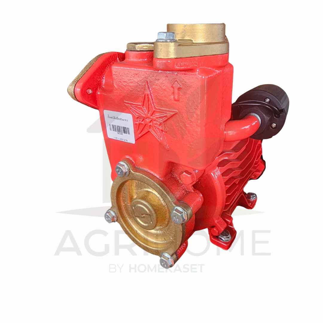 ปั๊มน้ำอัตโนมัติ ตราดาว DAO-300A 370W