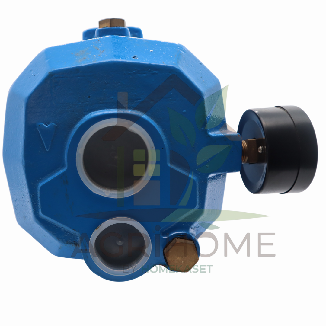 ปั๊มเจ็ทคู่ Radison 1 นิ้ว 1 แรงม้า