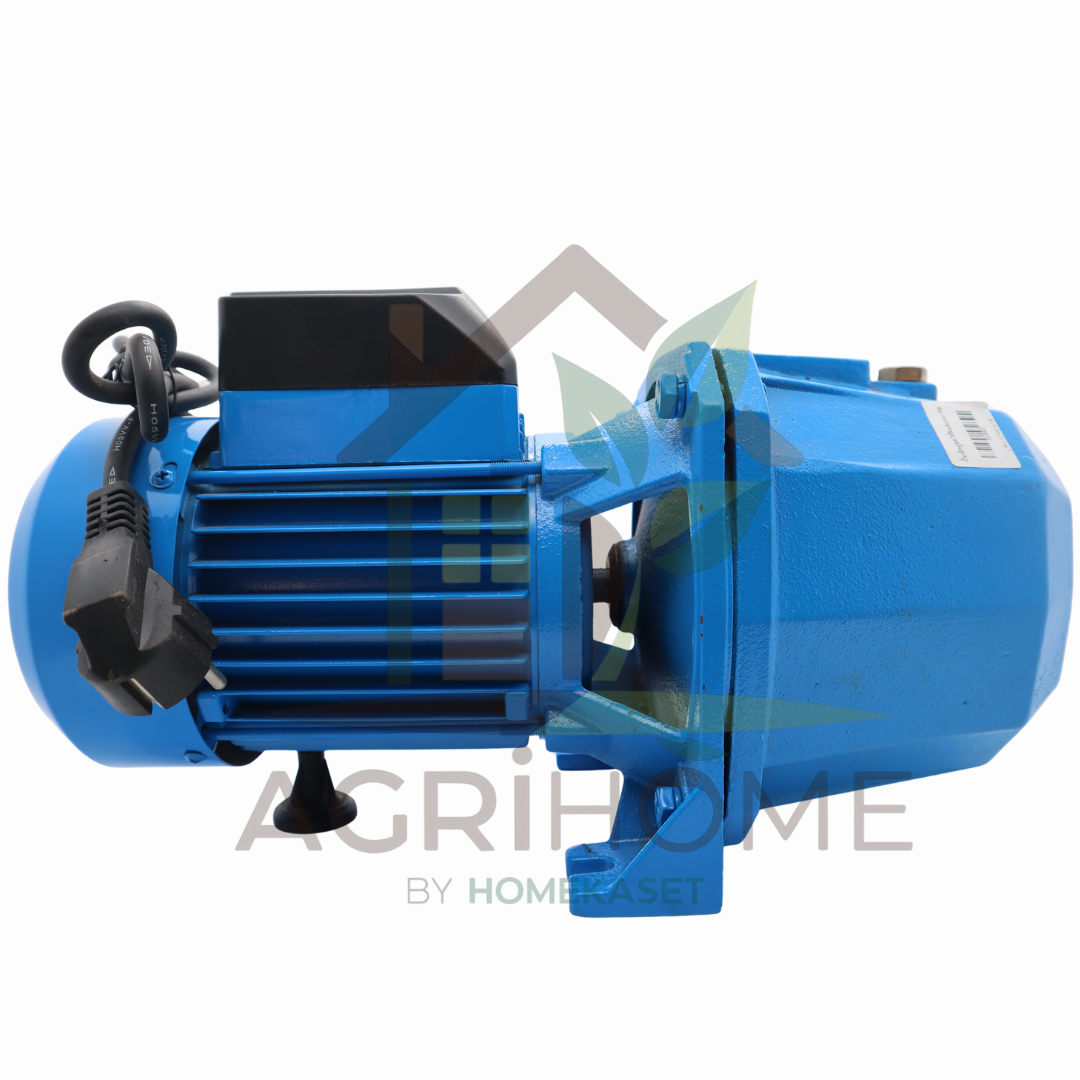 ปั๊มเจ็ทคู่ Radison 1 นิ้ว 1 แรงม้า