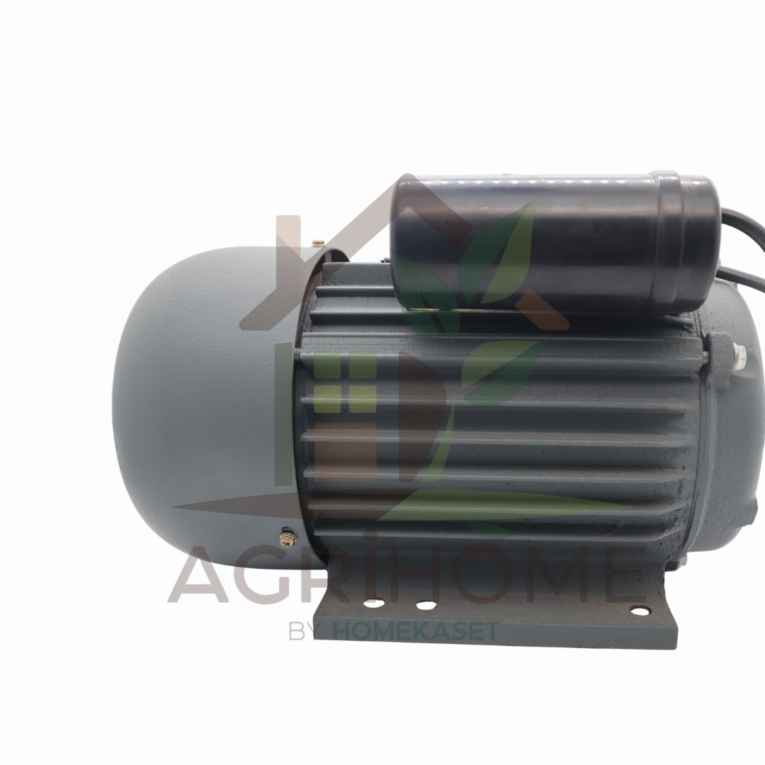 มอเตอร์ Berto 3 เเรงม้า 2 คาปาซิเตอร์