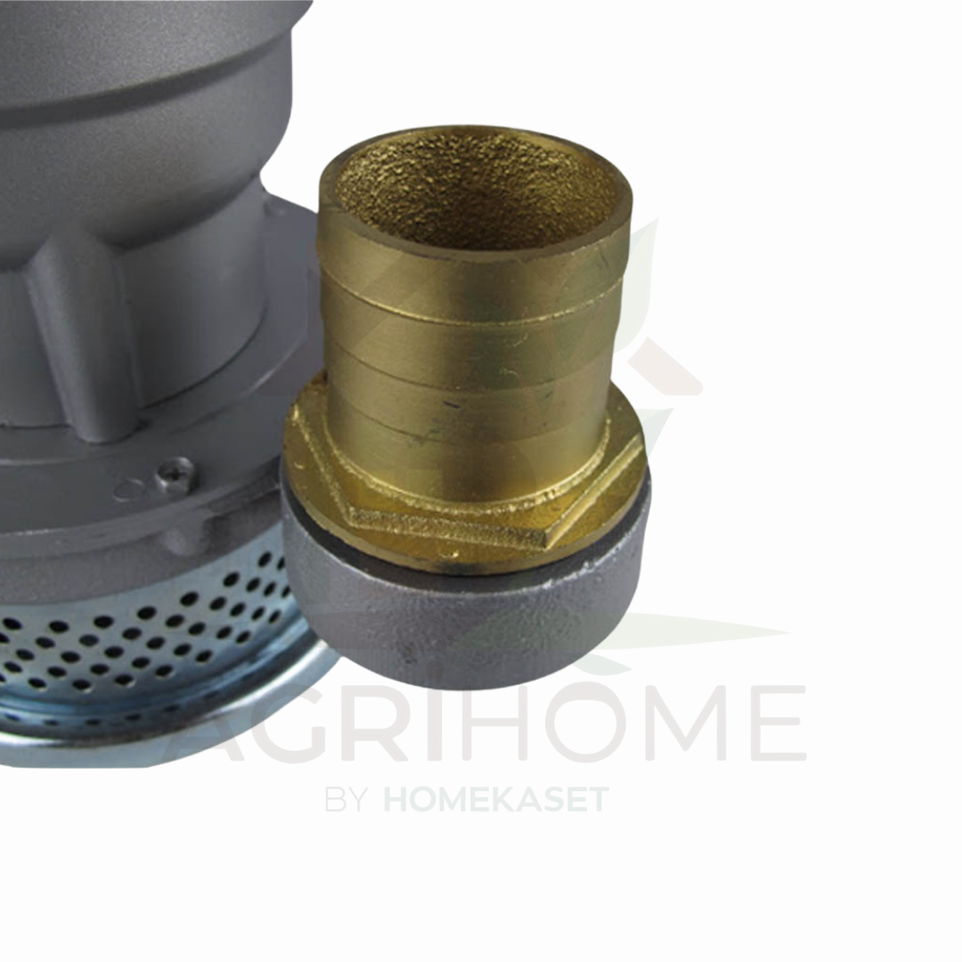 ปั๊มแช่ LongYang ลองยัง 2 นิ้ว