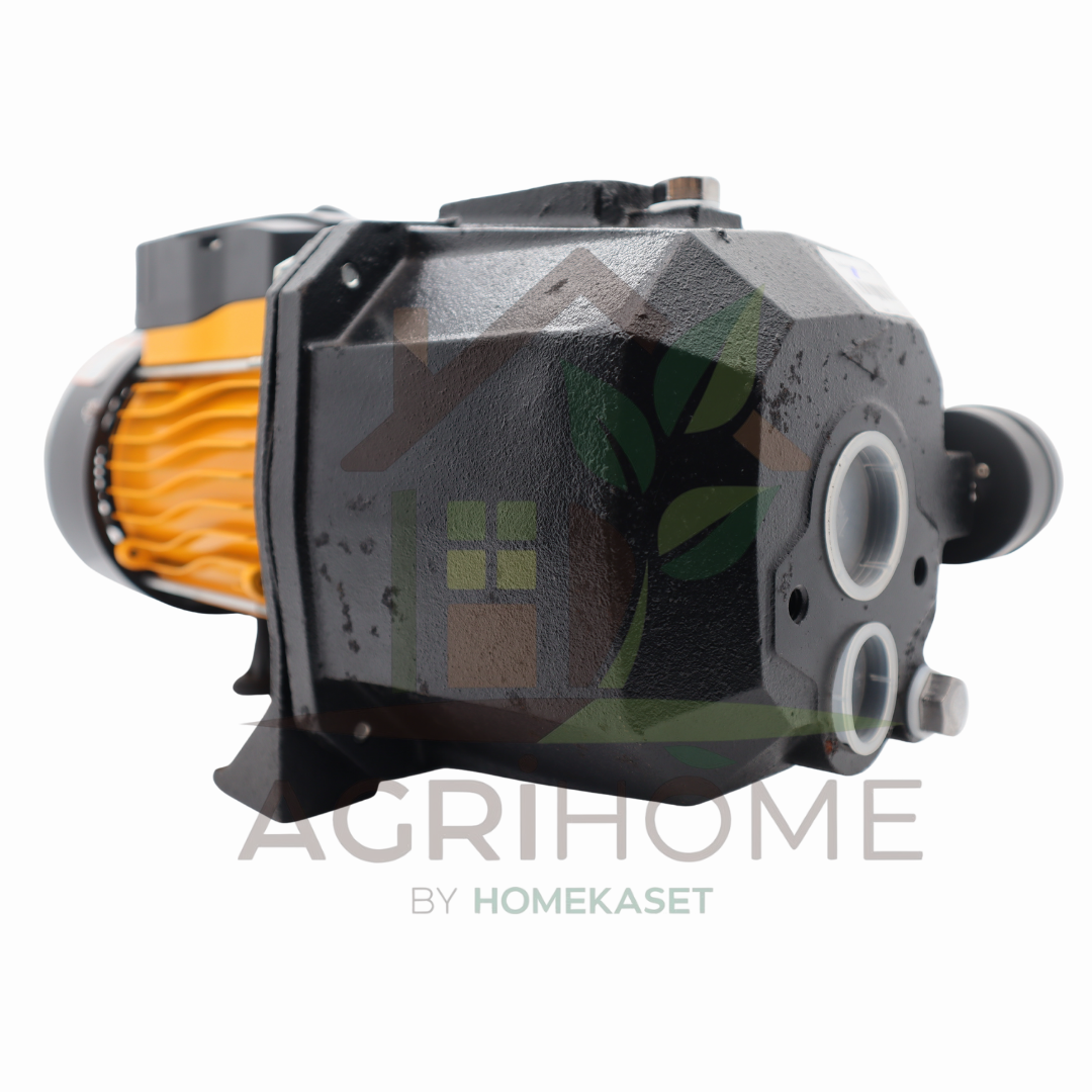 ปั๊มเจ็ทคู่ FPE JET255B 1 นิ้ว 1 แรงม้า