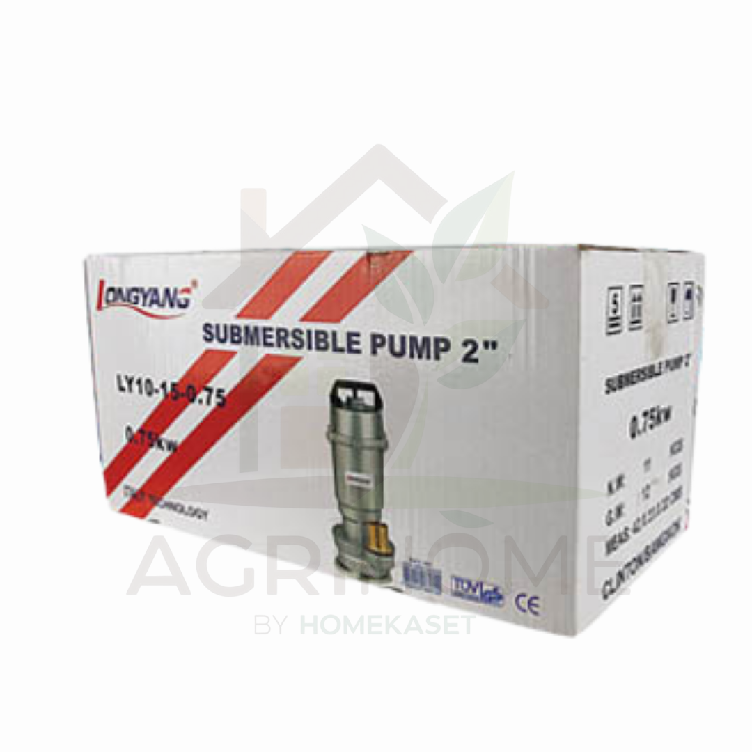 ปั๊มแช่ LongYang ลองยัง 2 นิ้ว