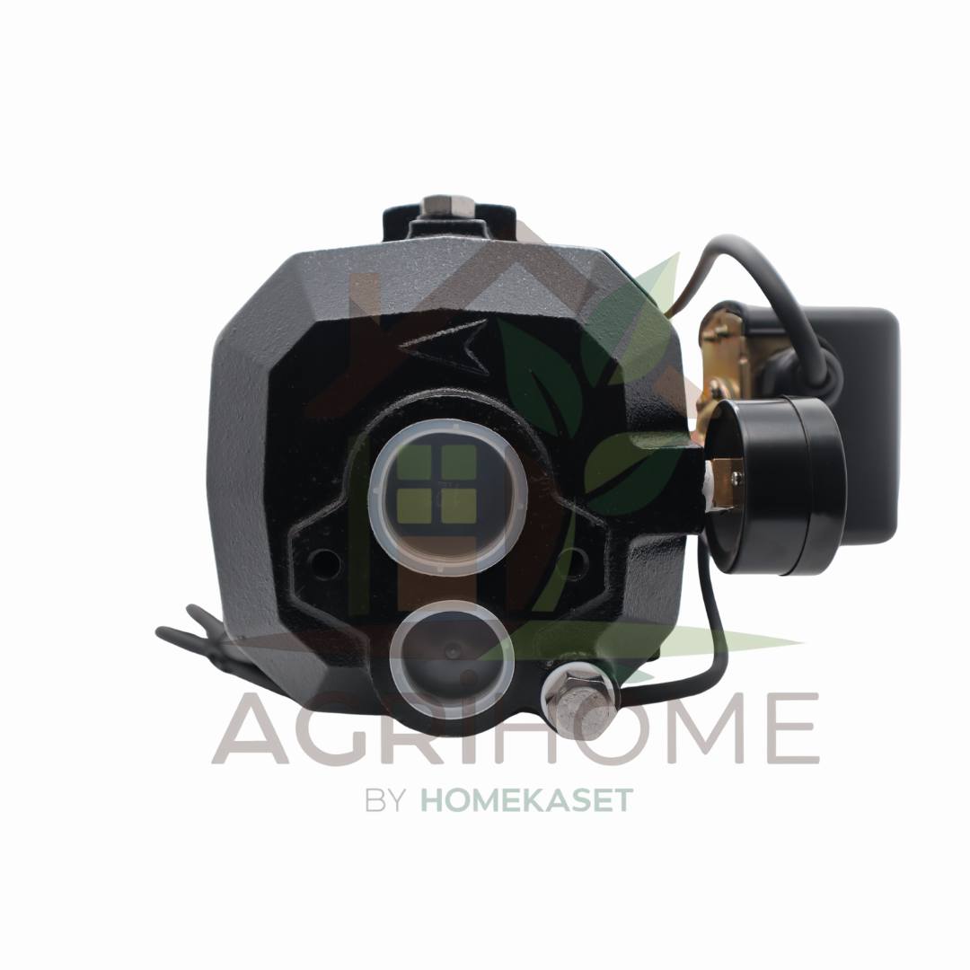 ปั๊มเจ็ทคู่ FPE JET255B 1 นิ้ว 1 แรงม้า