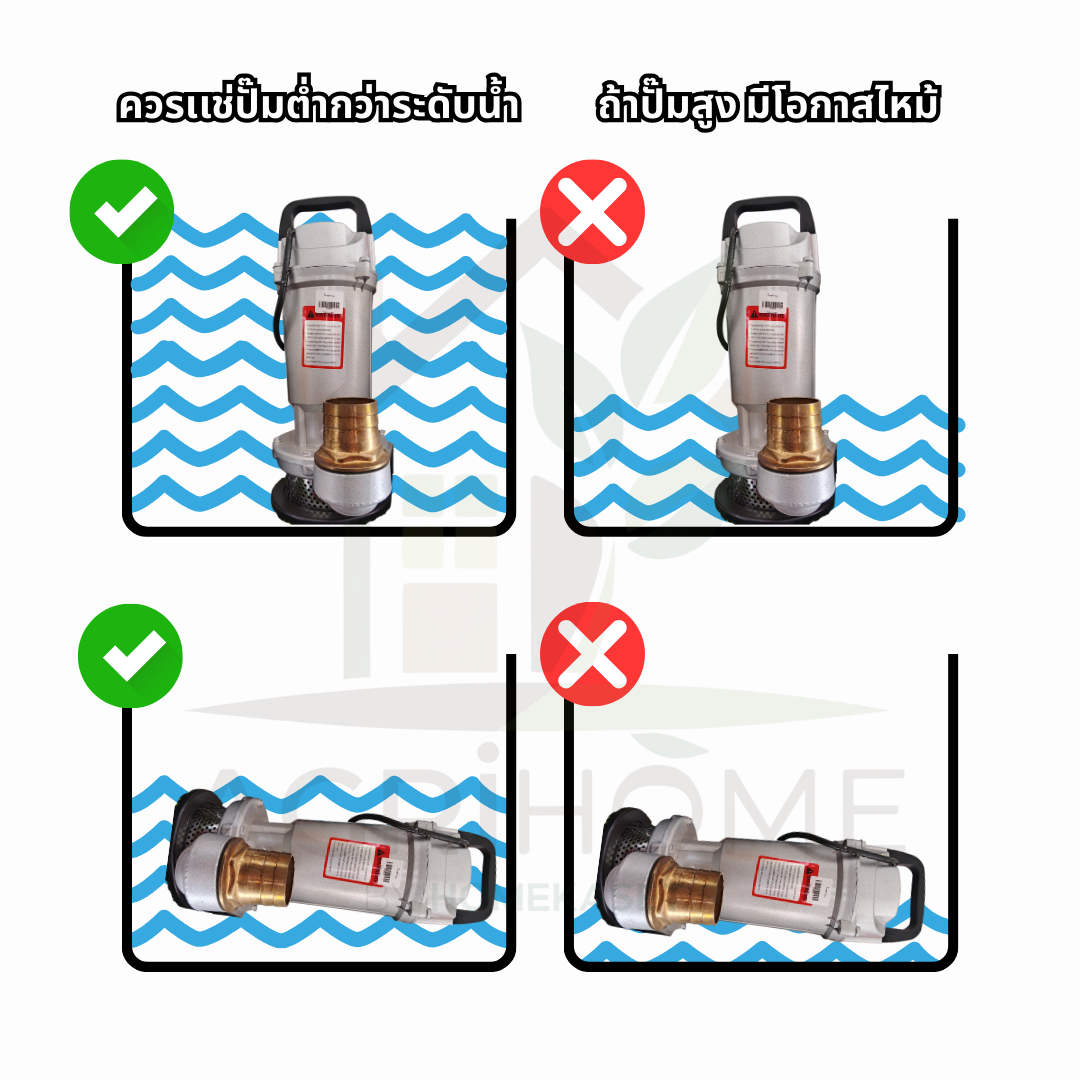 ปั๊มแช่ DAO ตราดาว 2 นิ้ว