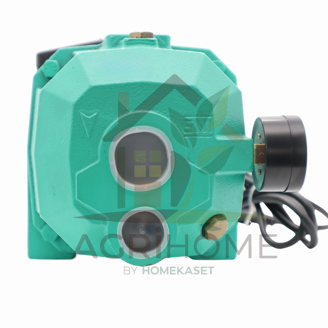 ปั๊มเจ็ทคู่ Ryujin RJ-750AT 1 นิ้ว 1 แรงม้า