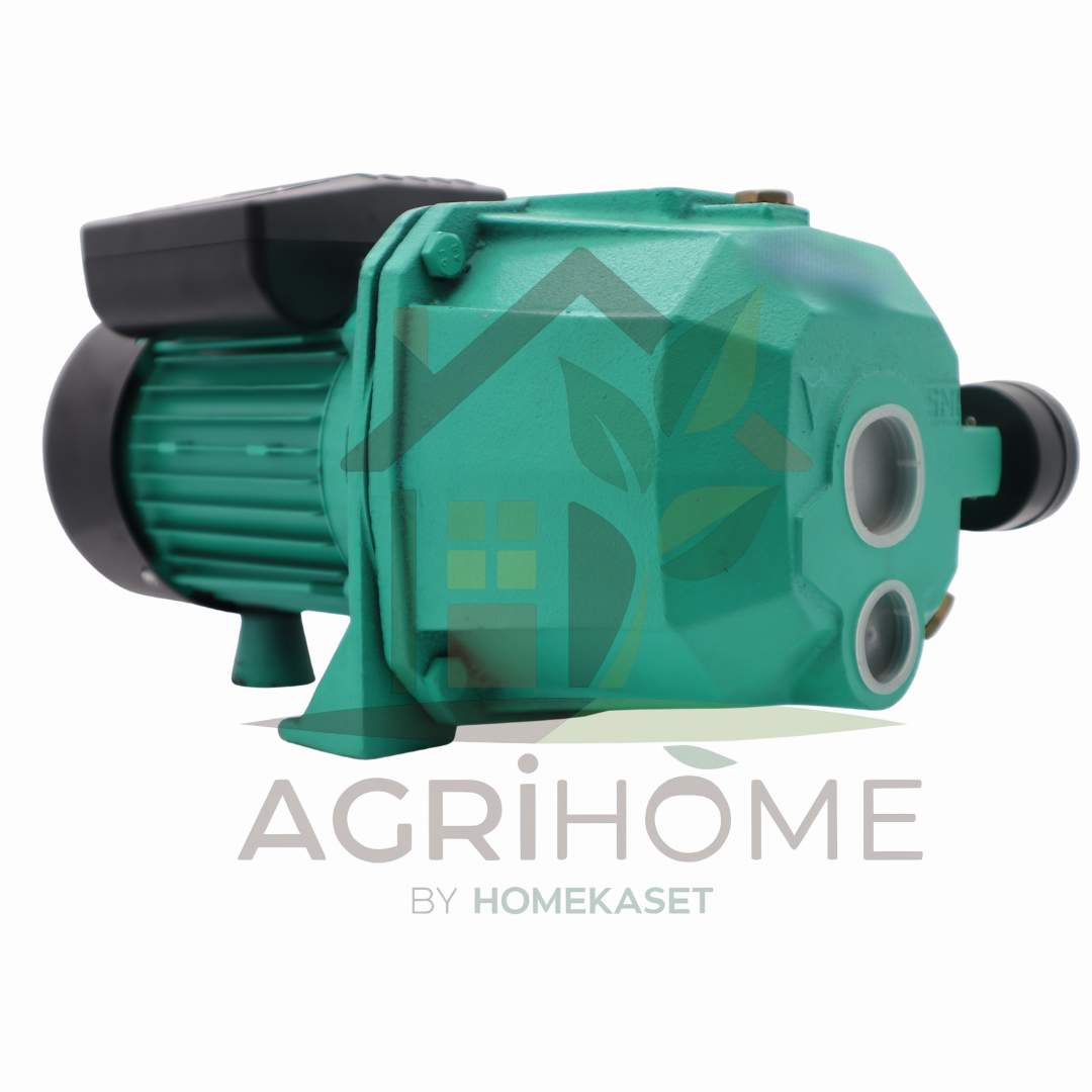 ปั๊มเจ็ทคู่ Ryujin RJ-750AT 1 นิ้ว 1 แรงม้า