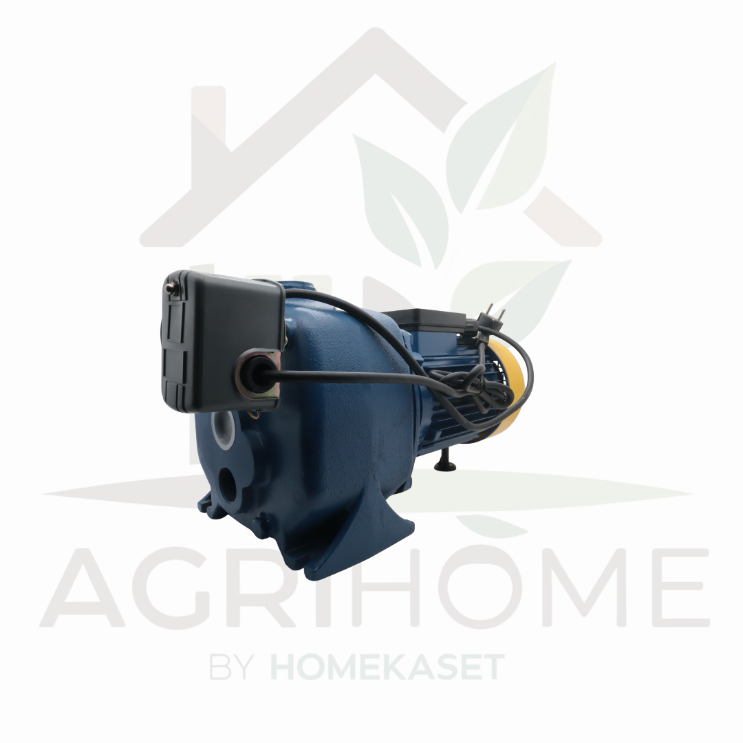 ปั๊มเจ็ทคู่ PAYOO พายุ 1 นิ้ว 1.5 แรงม้า