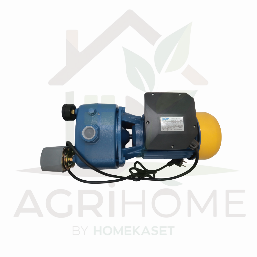 ปั๊มเจ็ทคู่ PAYOO พายุ 1 นิ้ว 1.5 แรงม้า