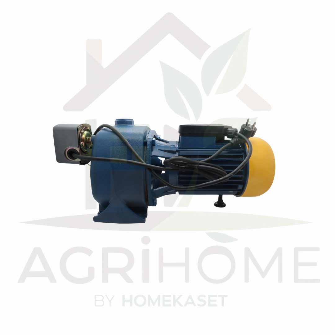 ปั๊มเจ็ทคู่ PAYOO พายุ 1 นิ้ว 1.5 แรงม้า