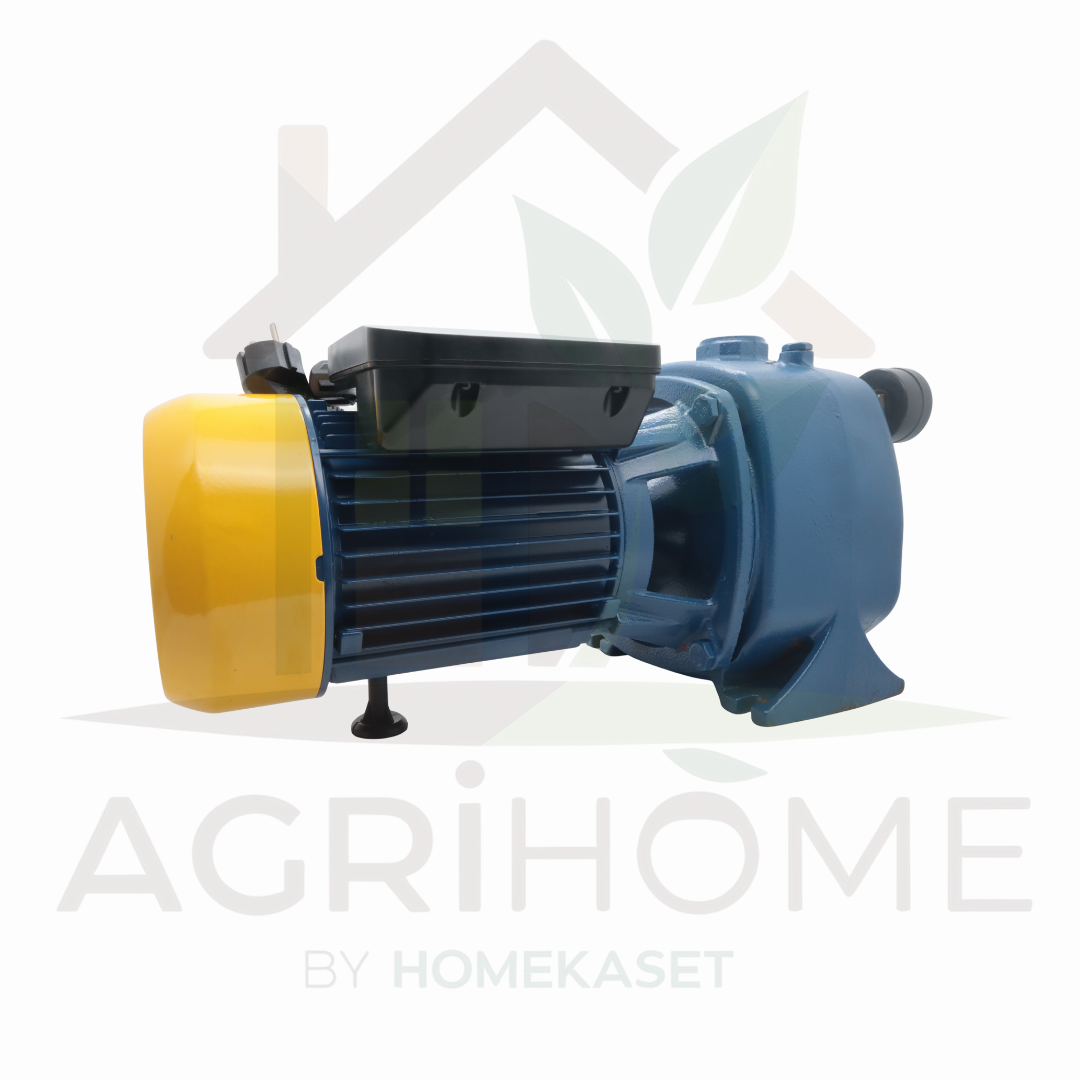 ปั๊มเจ็ทคู่ PAYOO พายุ 1 นิ้ว 1.5 แรงม้า