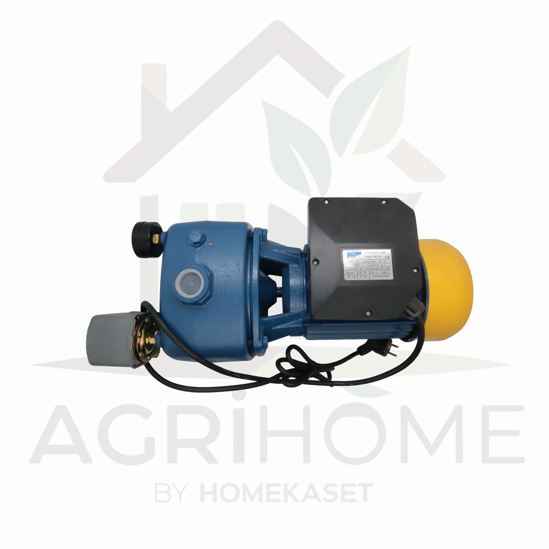 ปั๊มเจ็ทคู่ PAYOO พายุ 1 นิ้ว 2.2 แรงม้า