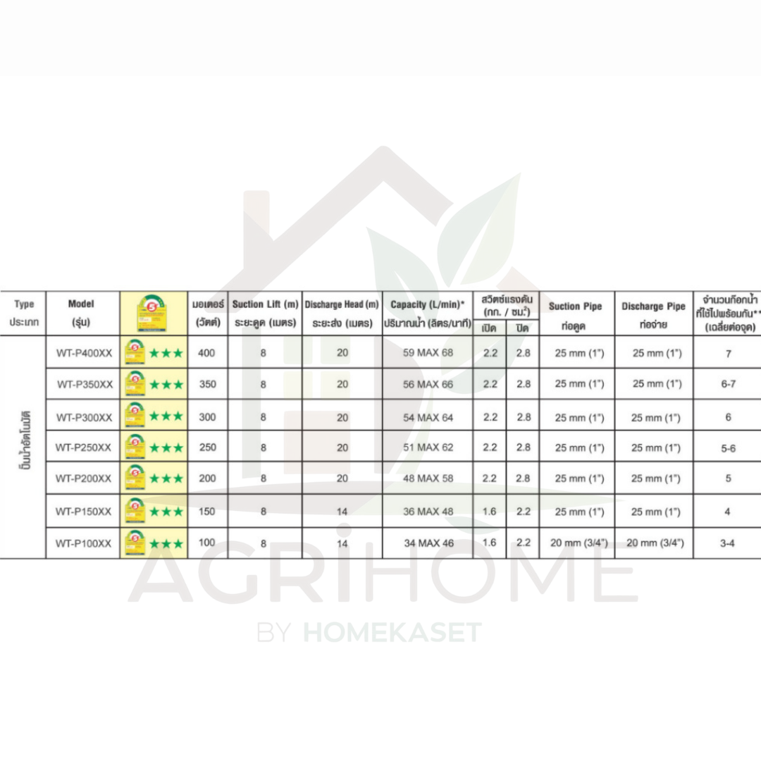 ปั๊มน้ำอัตโนมัติ Hitachi รุ่น WT-P300XX