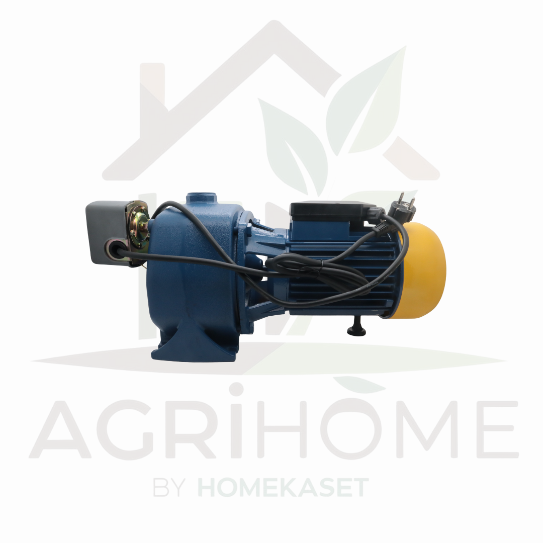 ปั๊มเจ็ทคู่ PAYOO พายุ 1 นิ้ว 2.2 แรงม้า