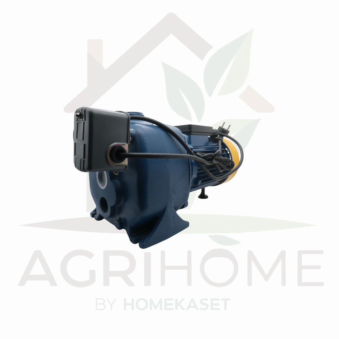 ปั๊มเจ็ทคู่ PAYOO พายุ 1 นิ้ว 2.2 แรงม้า