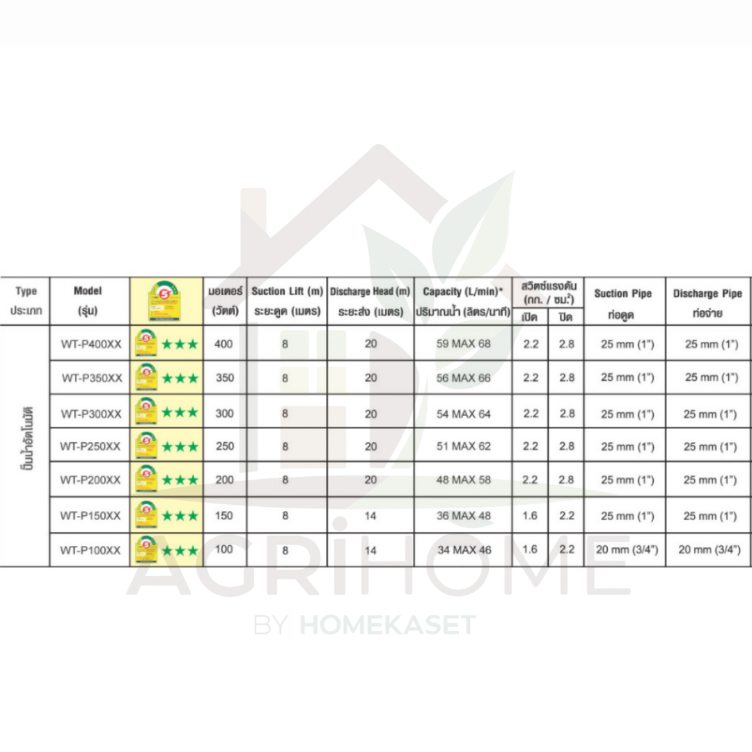 ปั๊มน้ำอัตโนมัติ Hitachi รุ่น WT-P250XX