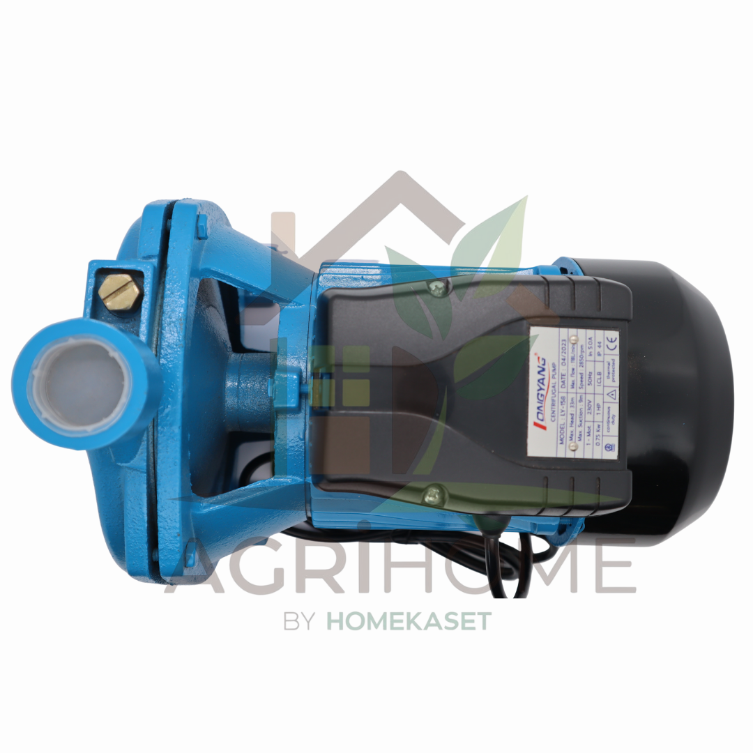 ปั๊มหอยโข่ง Longyang LY-158 1 นิ้ว 1 แรงม้า