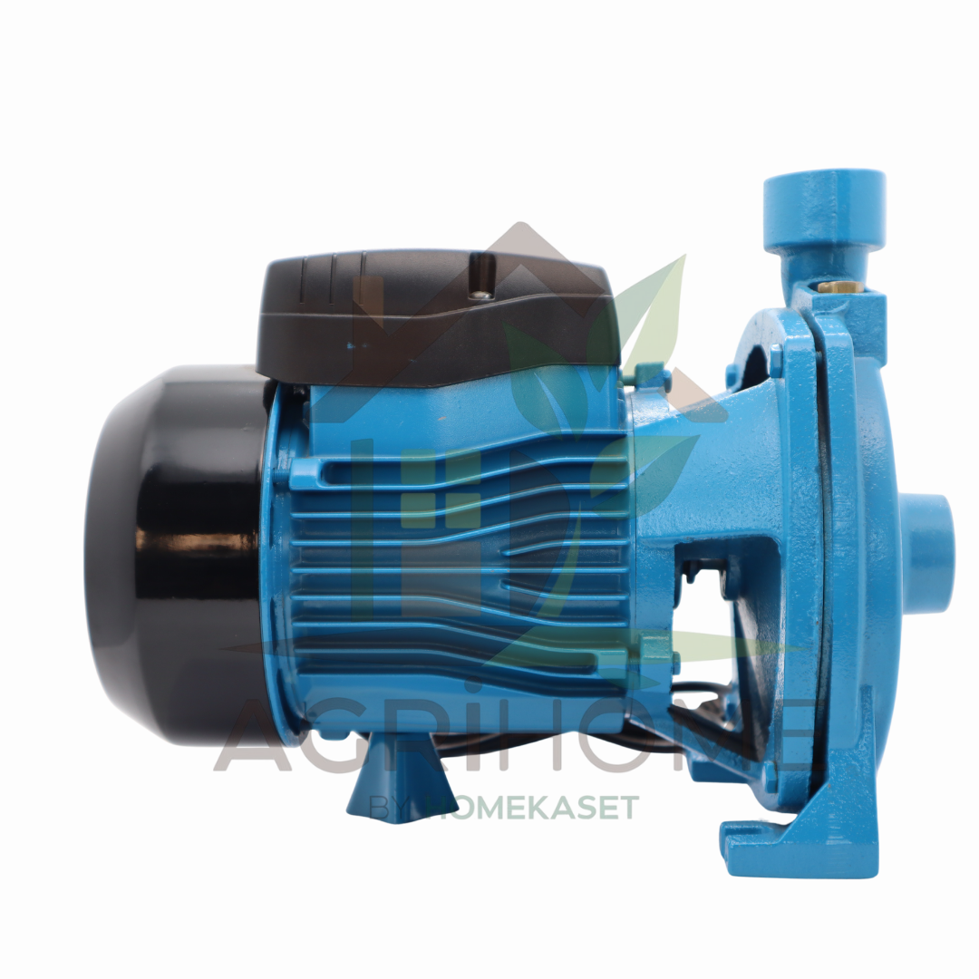 ปั๊มหอยโข่ง Longyang LY-158 1 นิ้ว 1 แรงม้า