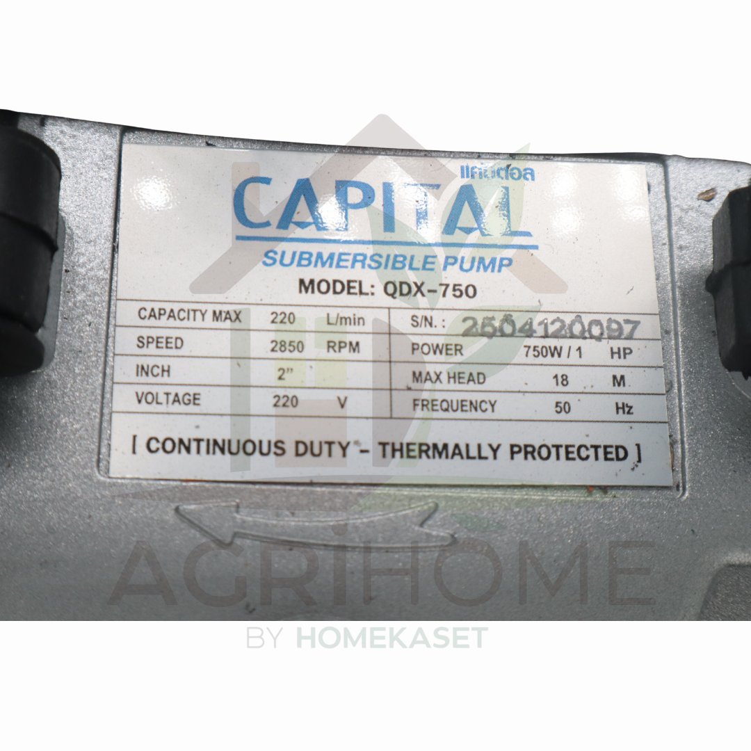 ปั๊มแช่ Capital 2 นิ้ว