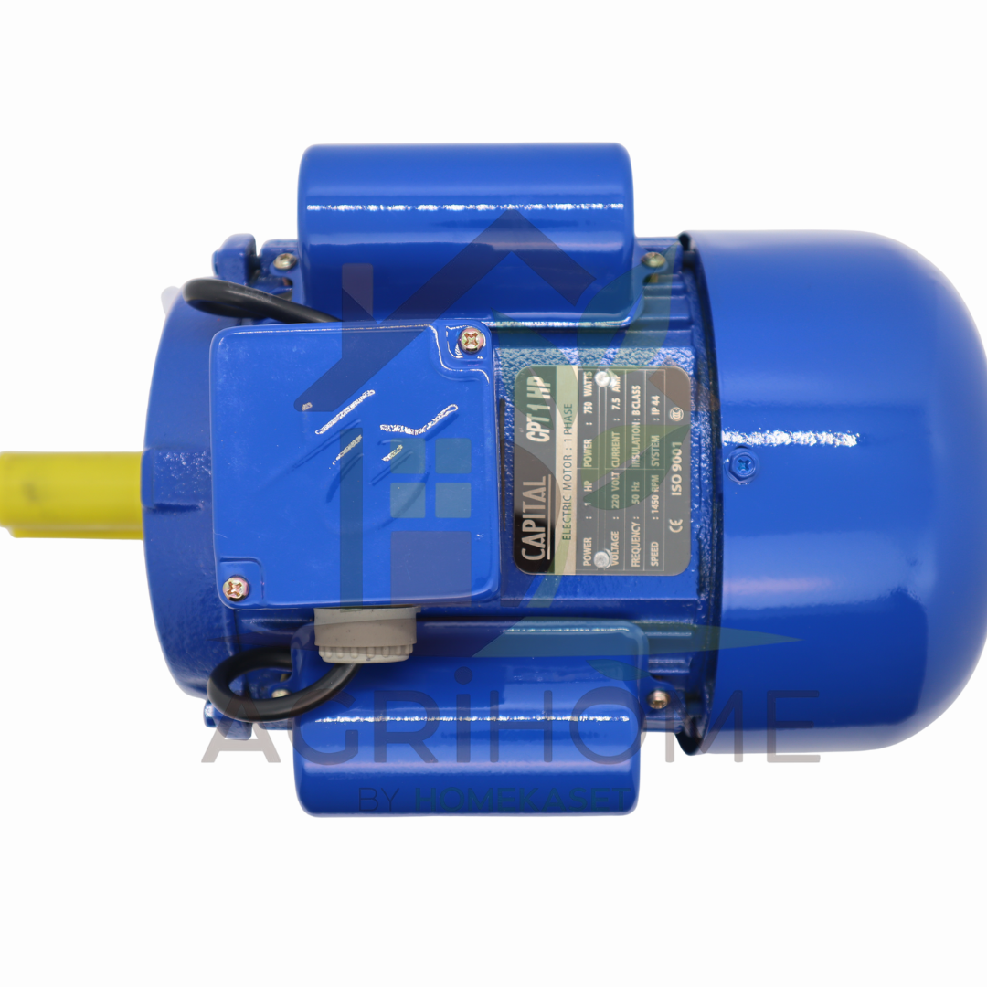 มอเตอร์ CAPITAL 1 แรงม้า รุ่น CPT1HP