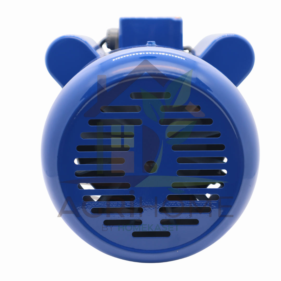 มอเตอร์ CAPITAL 1 แรงม้า รุ่น CPT1HP