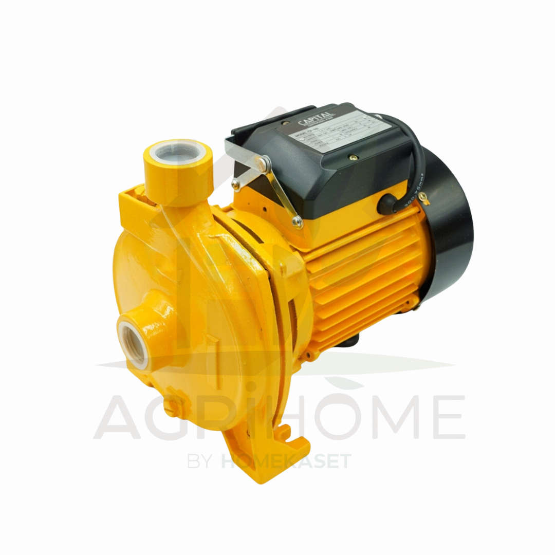 ปั๊มหอยโข่ง Capital 1 นิ้ว 0.5 แรงม้า