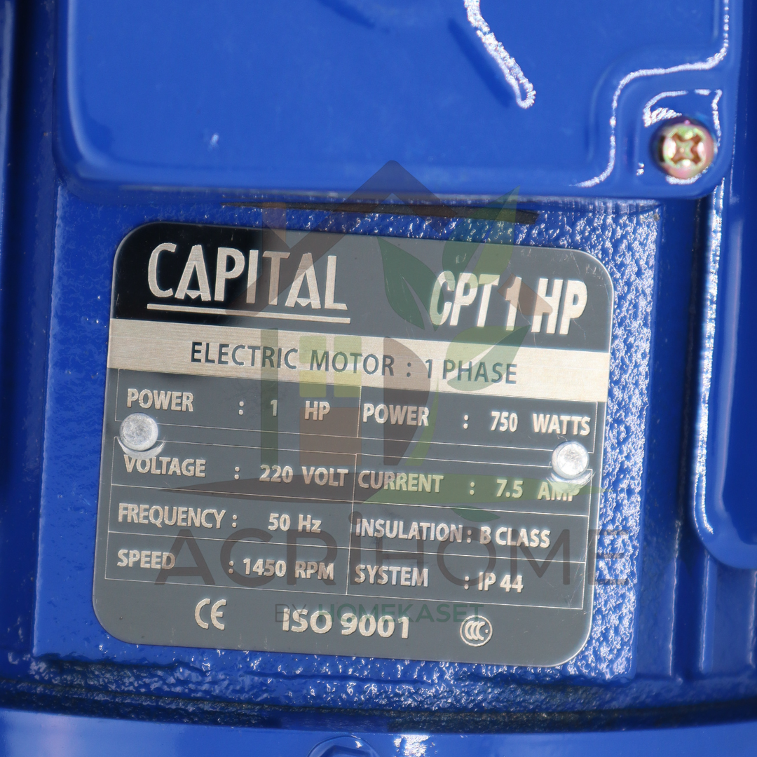 มอเตอร์ CAPITAL 1 แรงม้า รุ่น CPT1HP
