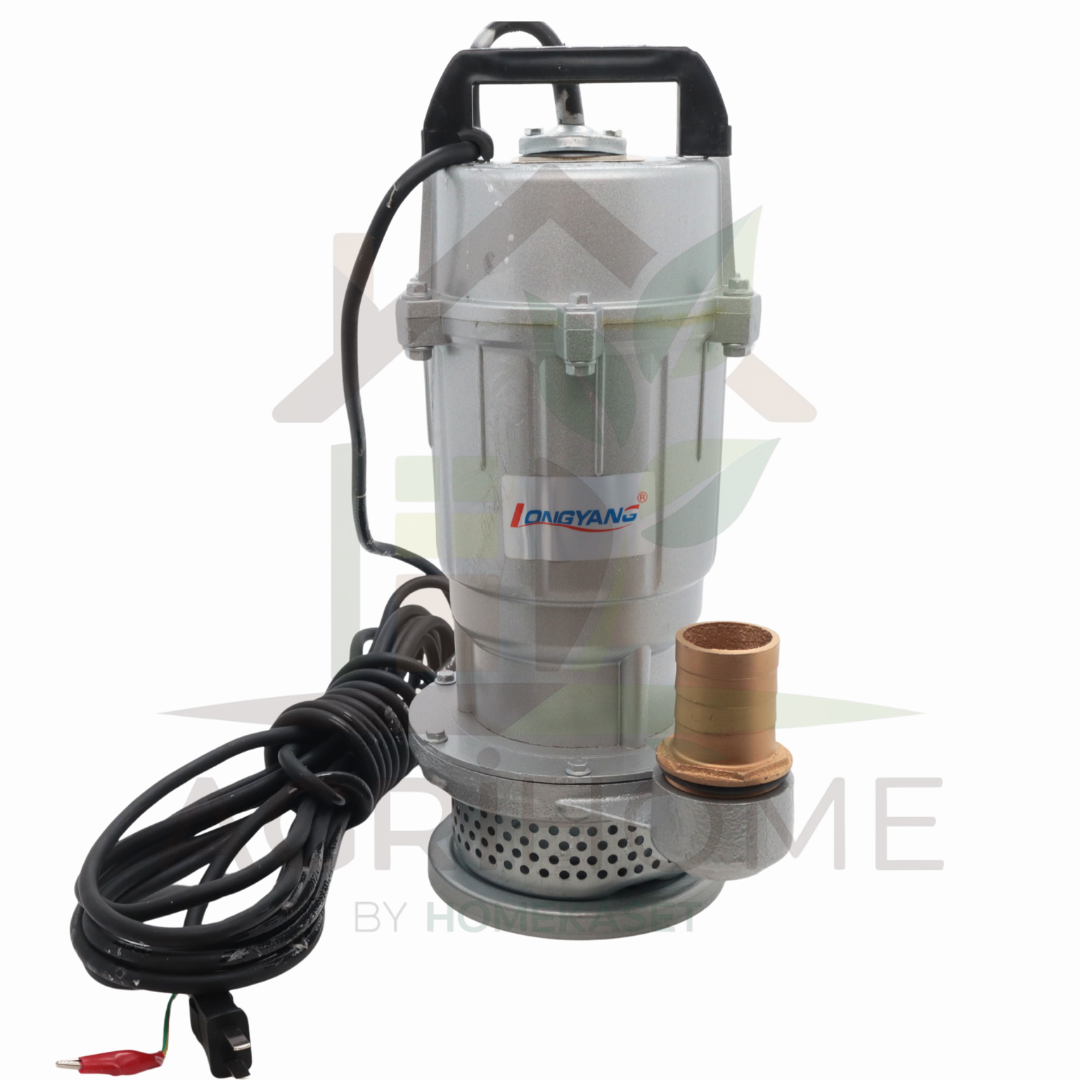 ปั๊มแช่ LongYang ลองยัง 1.5 นิ้ว