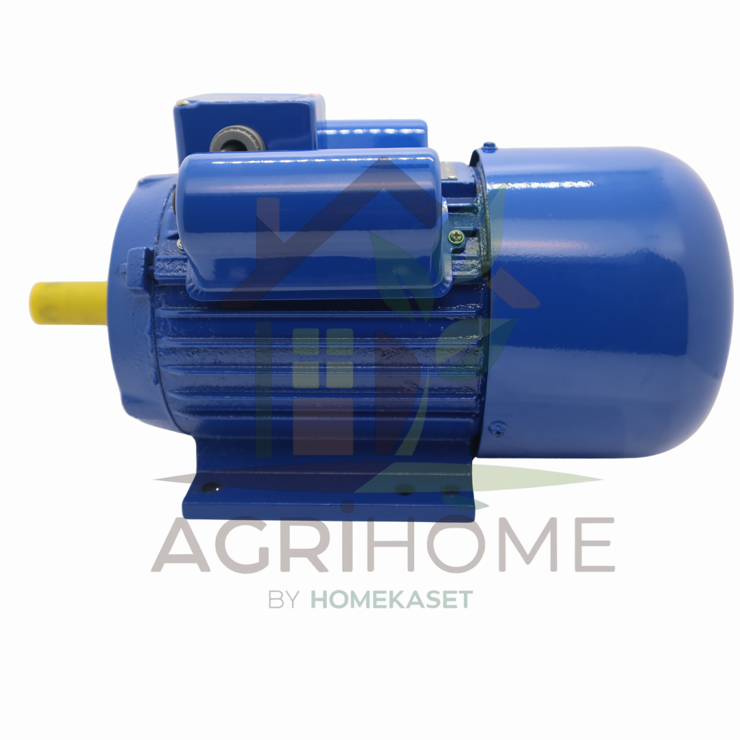 มอเตอร์ CAPITAL 1.5 แรงม้า รุ่น CPT15HP