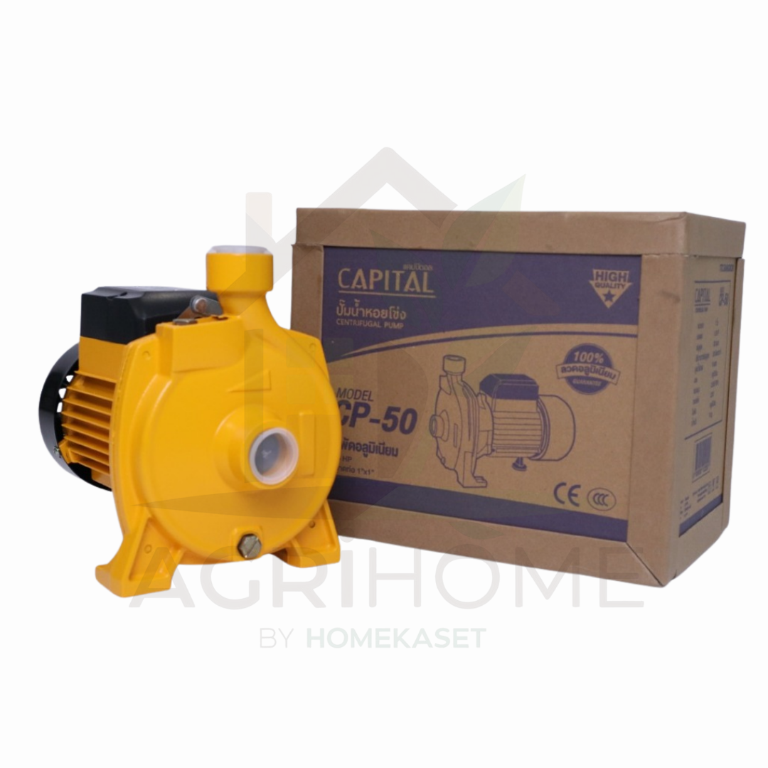 ปั๊มหอยโข่ง Capital 1 นิ้ว 1 แรงม้า