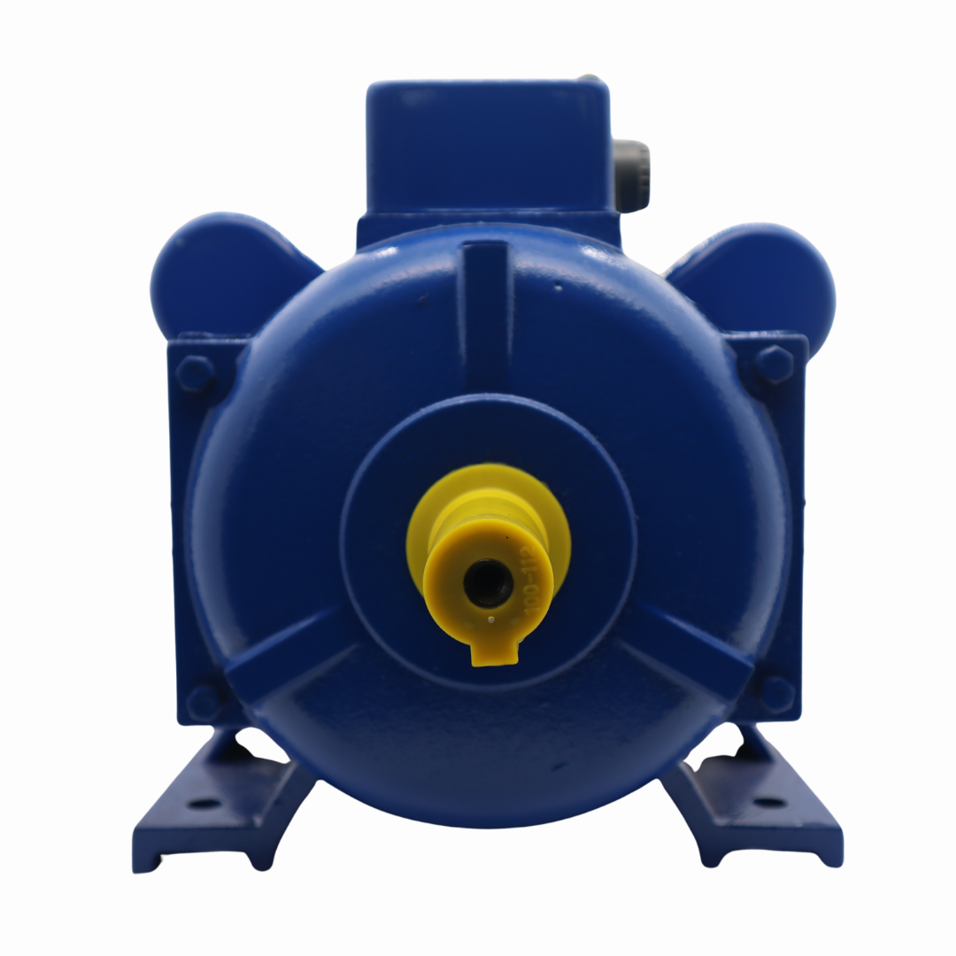 มอเตอร์ CAPITAL 3 แรงม้า รุ่น CPT3HP