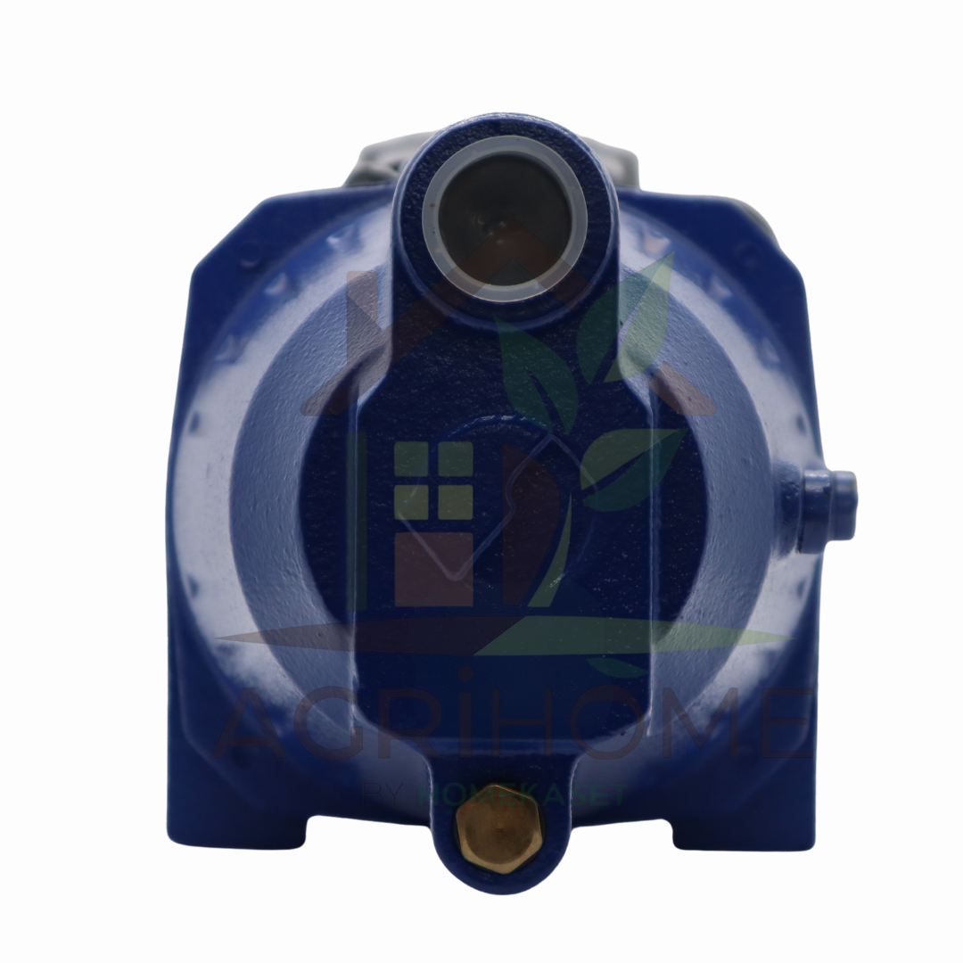 ปั๊มเจ็ทเดี่ยว ผึ้งเพชร 1 นิ้ว 1 แรงม้า