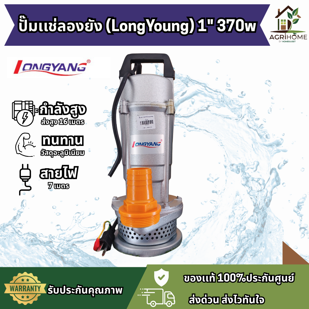 ปั๊มแช่ LongYang ลองยัง 1 นิ้ว