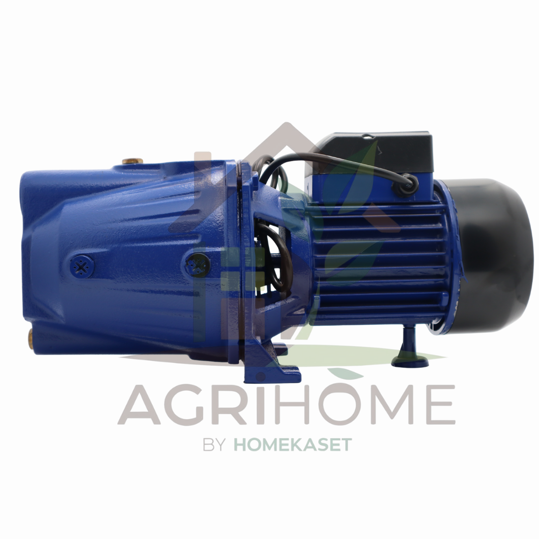 ปั๊มเจ็ทเดี่ยว ผึ้งเพชร 1 นิ้ว 1 แรงม้า