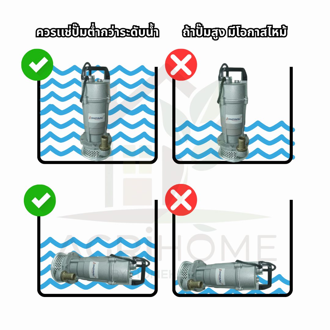 ปั๊มแช่ LongYang ลองยัง 1 นิ้ว