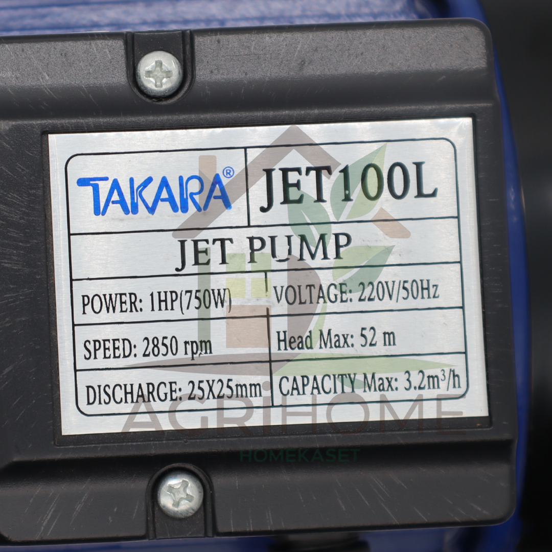 ปั๊มเจ็ทเดี่ยว ผึ้งเพชร 1 นิ้ว 1 แรงม้า