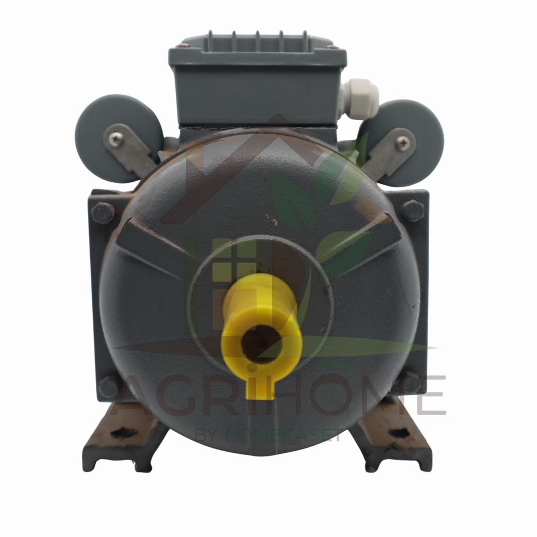 มอเตอร์ VSK 2 เเรงม้า 2 คาปาซิเตอร์