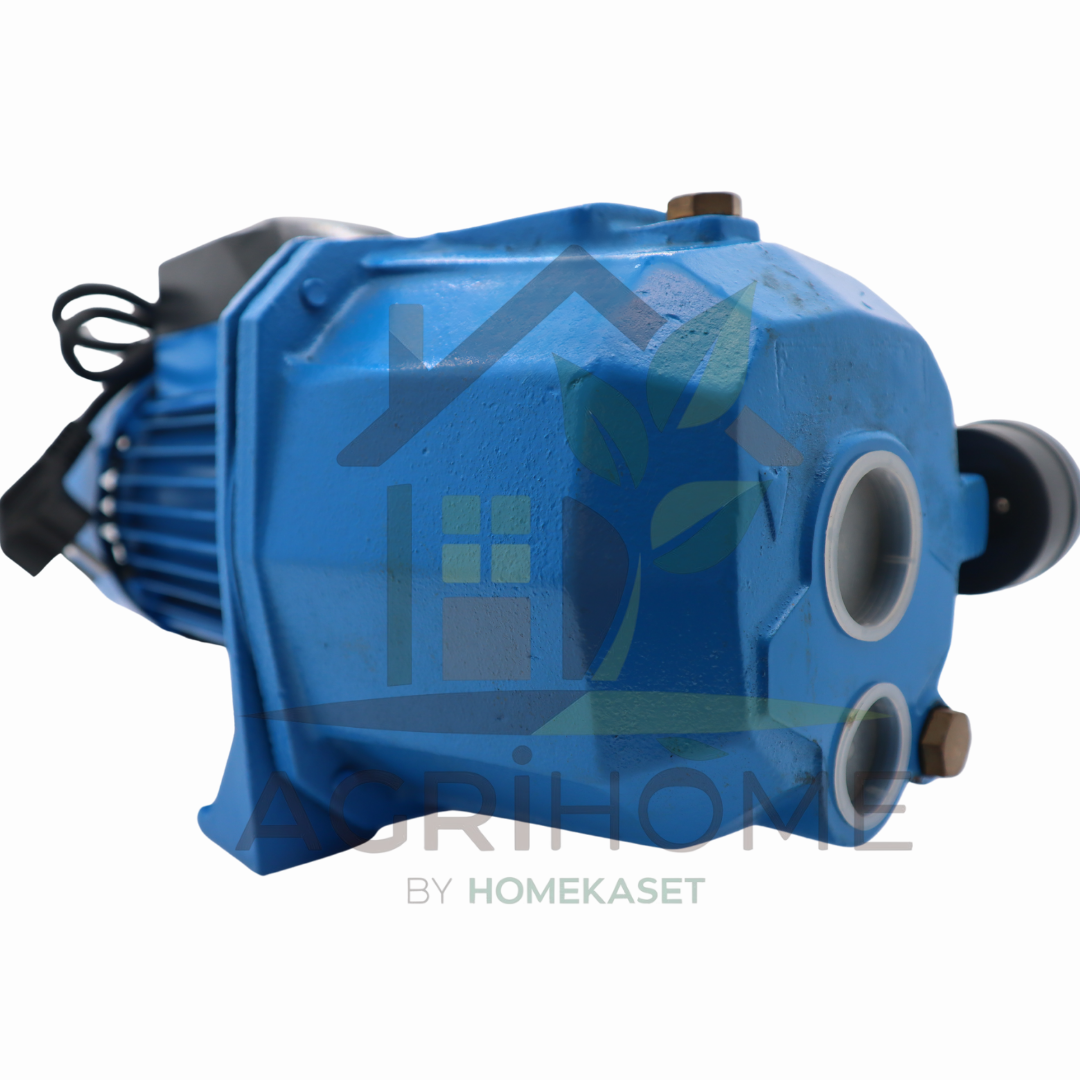 ปั๊มเจ็ทคู่ Radison 1 นิ้ว 1 แรงม้า