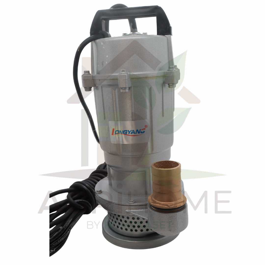 ปั๊มแช่ LongYang ลองยัง 1.5 นิ้ว