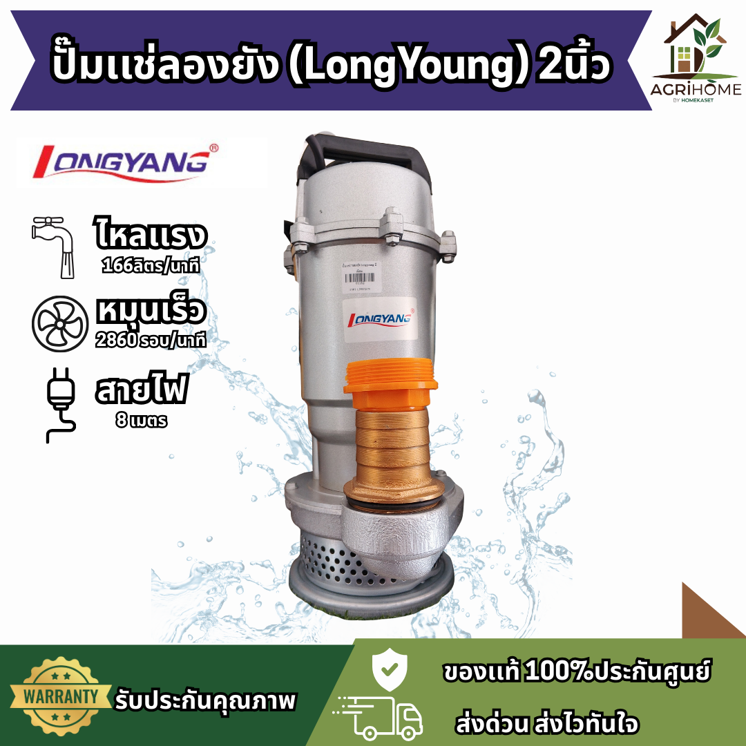 ปั๊มแช่ LongYang ลองยัง 2 นิ้ว